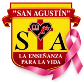 INSTITUTO PRIVADO MIXTO SAN AGUSTIN